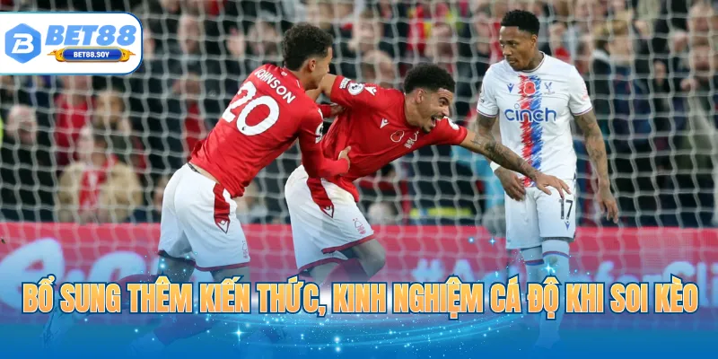 Bổ sung thêm kiến thức, kinh nghiệm cá độ khi soi kèo